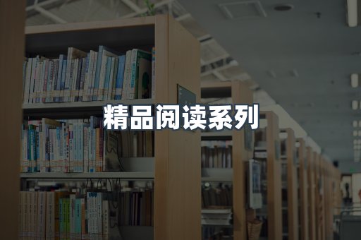 精品阅读系列